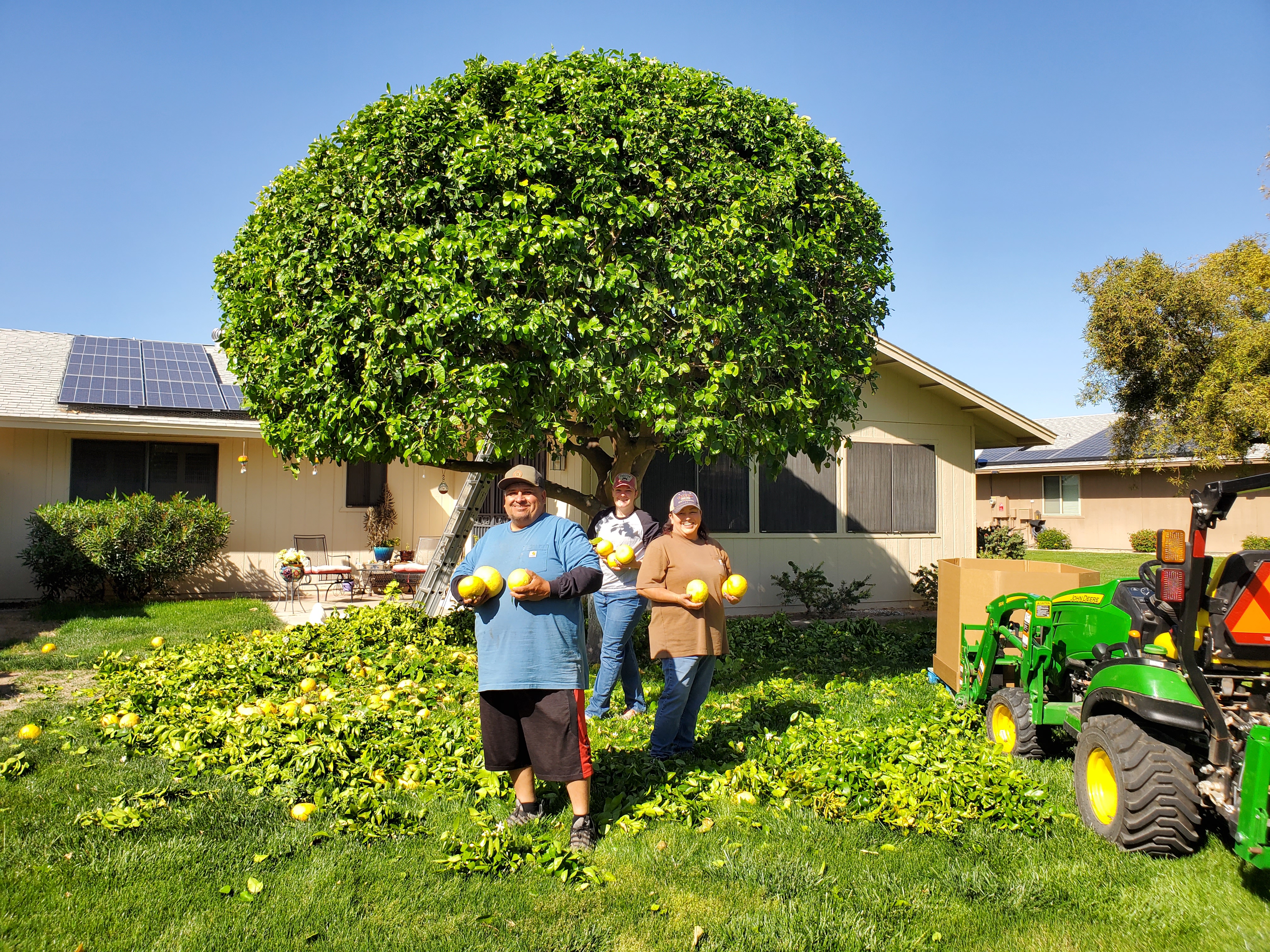Ray Pena and Family Gleaning and Trimming Citrus